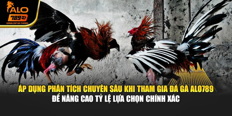 Áp dụng phân tích chuyên sâu khi tham gia đá gà Alo789 để nâng cao tỷ lệ lựa chọn chính xác