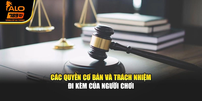Các quyền cơ bản và trách nhiệm đi kèm của người chơi