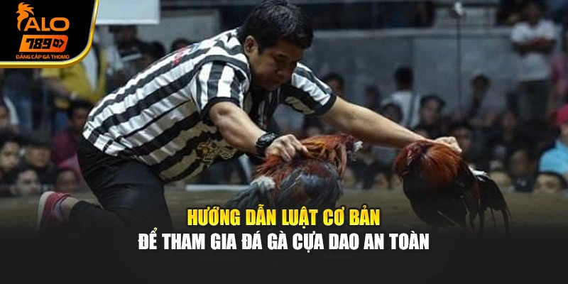 Hướng dẫn luật cơ bản để tham gia đá gà cựa dao an toàn