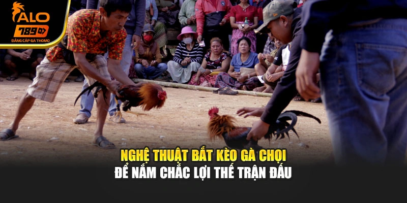 Nghệ thuật bắt kèo gà chọi để nắm chắc lợi thế trận đấu