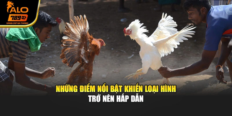 Những điểm nổi bật khiến loại hình trở nên hấp dẫn