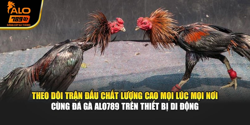 Theo dõi trận đấu chất lượng cao mọi lúc mọi nơi cùng đá gà Alo789 trên thiết bị di động