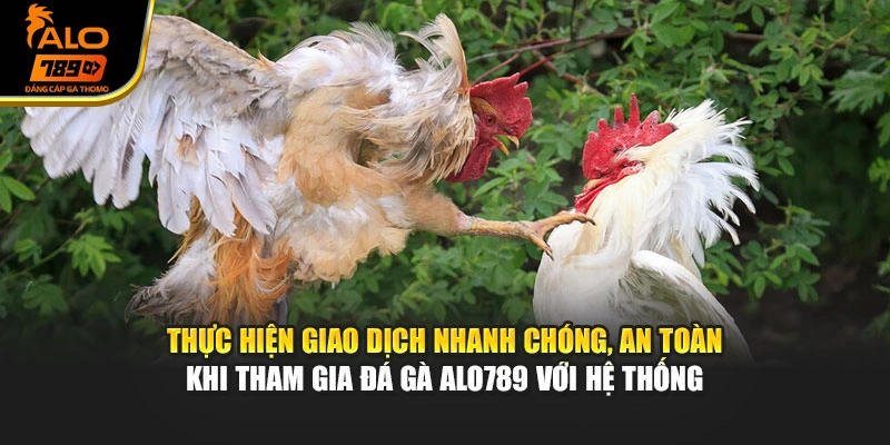 Thực hiện giao dịch nhanh chóng, an toàn khi tham gia đá gà Alo789 với hệ thống